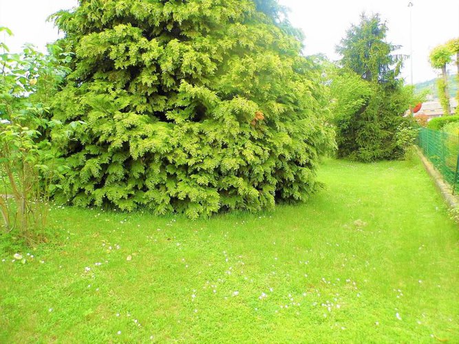 strepitosa villa singola con 2 appartamenti Carobbio degli Angeli