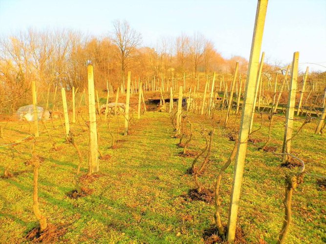 letteralmente in paese Carobbio degli Angeli