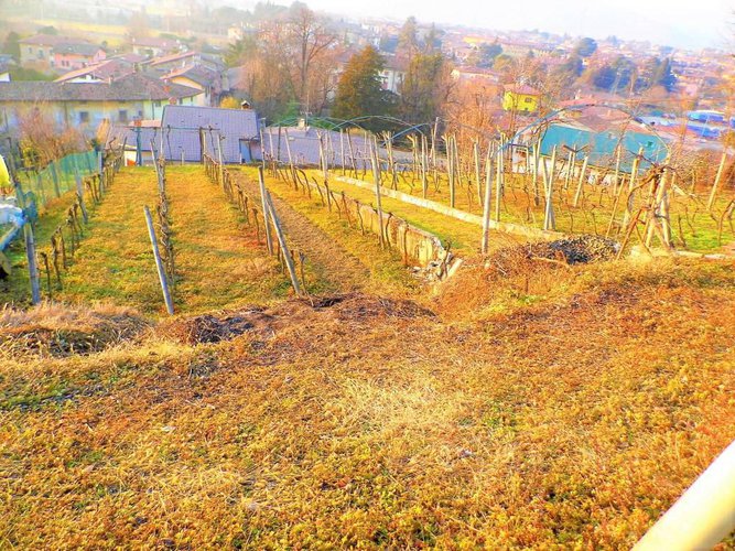letteralmente in paese Carobbio degli Angeli