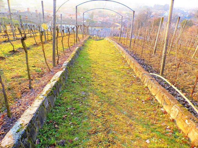 letteralmente in paese Carobbio degli Angeli