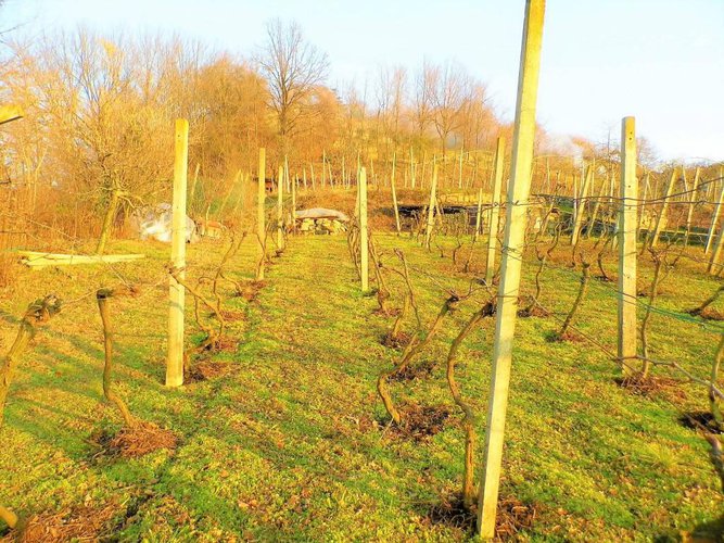 letteralmente in paese Carobbio degli Angeli