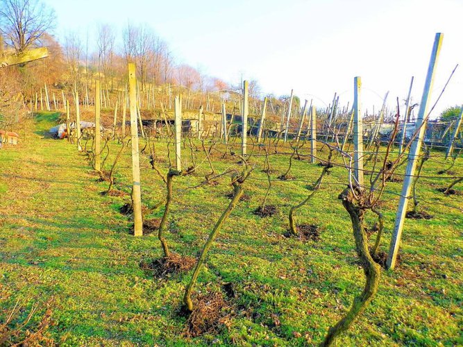 letteralmente in paese Carobbio degli Angeli