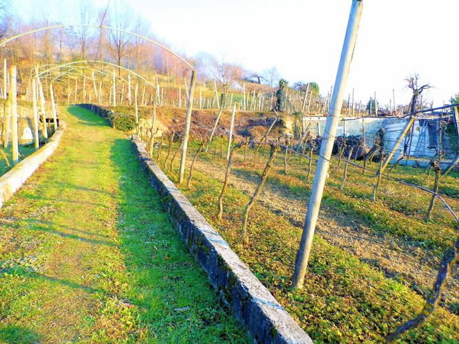 letteralmente in paese Carobbio degli Angeli