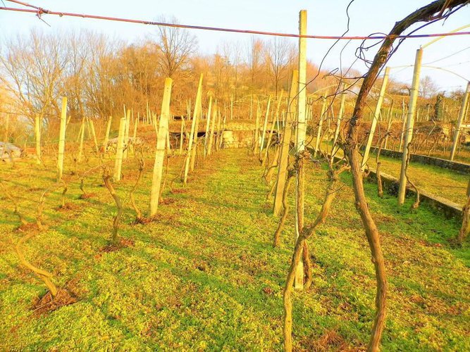 letteralmente in paese Carobbio degli Angeli