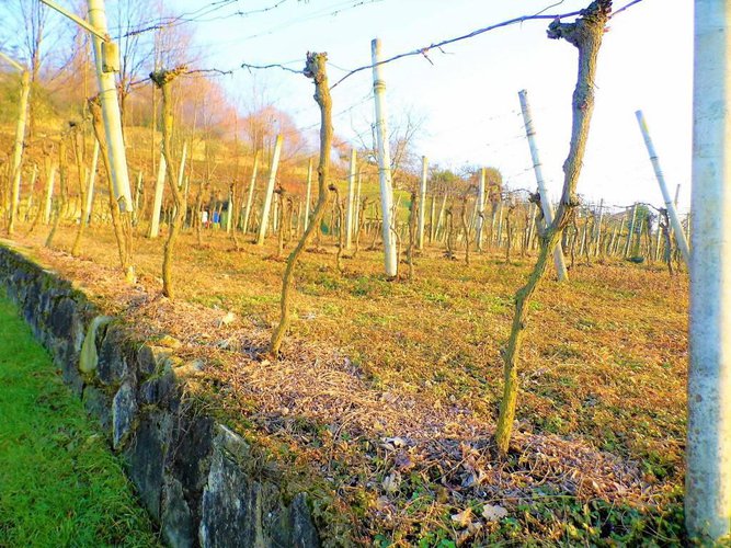 letteralmente in paese Carobbio degli Angeli