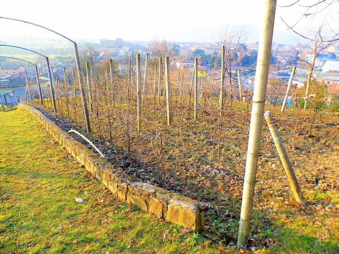 letteralmente in paese Carobbio degli Angeli