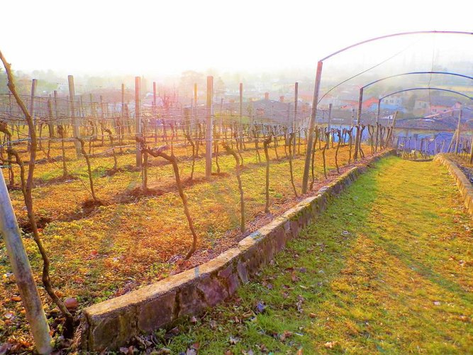 letteralmente in paese Carobbio degli Angeli