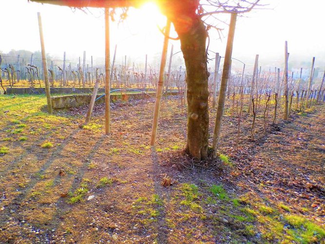 letteralmente in paese Carobbio degli Angeli