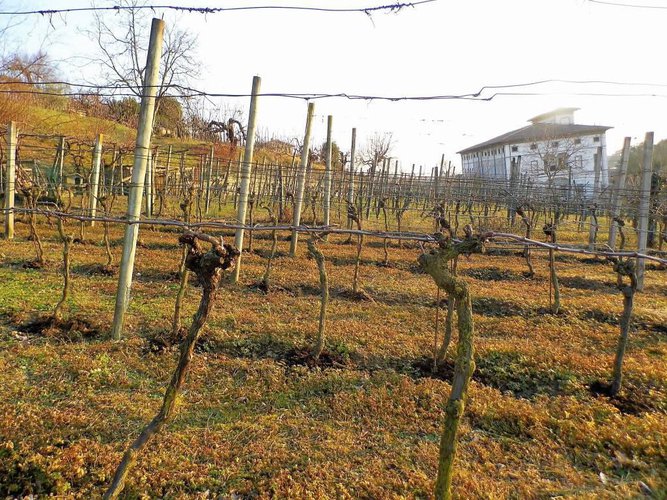 letteralmente in paese Carobbio degli Angeli