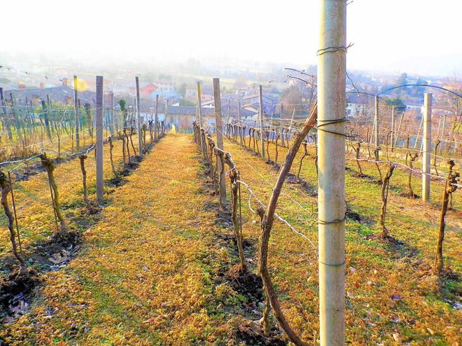 letteralmente in paese Carobbio degli Angeli