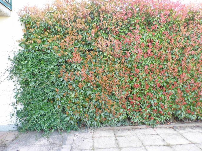 ottima soluzione per single o giovani coppie Bagnatica