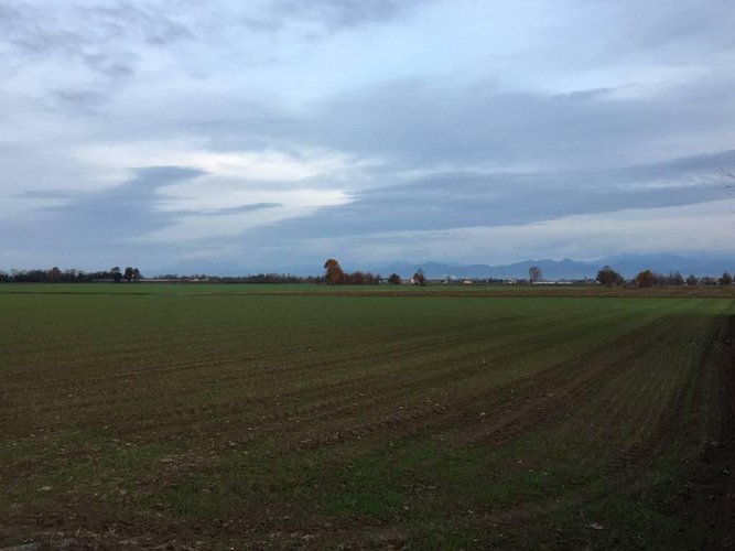 Vendiamo cascina con terreno agricolo