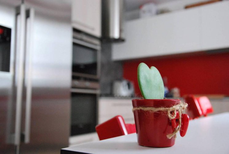 casetta in contesto nobiliare del XVI sec Seriate