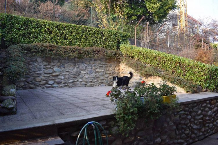 Splendida villetta a schiera di centro Albino