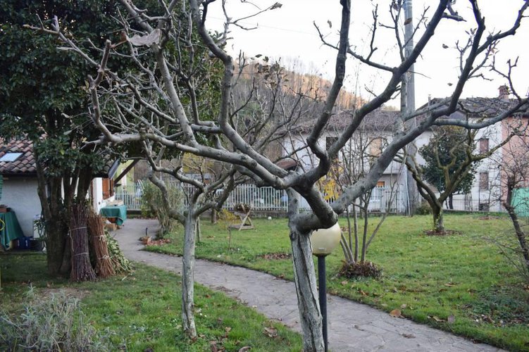 Terreno edificabile Alzano Lombardo