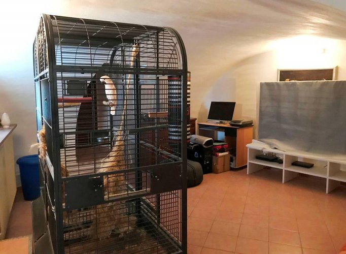 Splendida villetta, pronta subito abitare! Albino