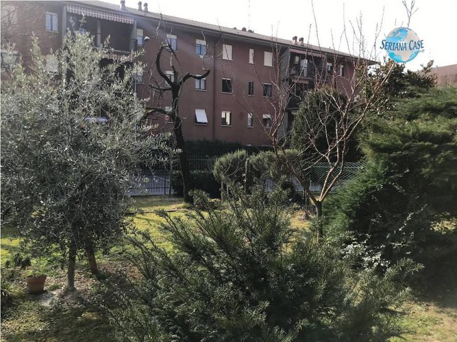 Quadrilocale ultimo piano con porzione di giardino Alzano Lombardo
