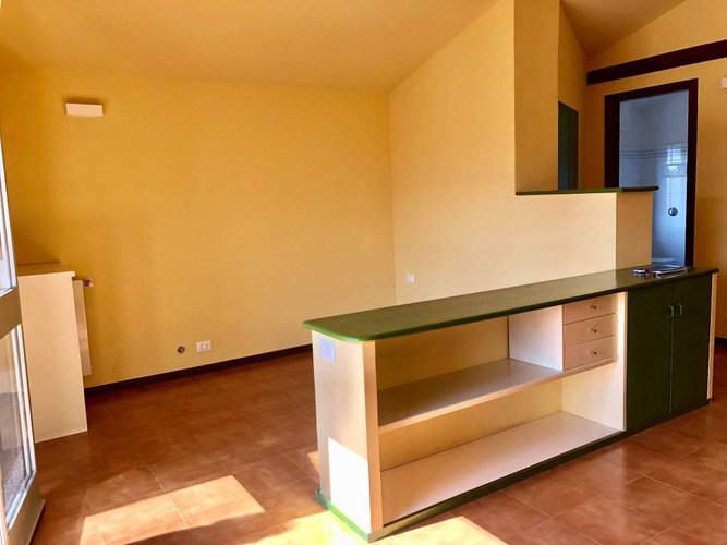 Investimento!!! Albino