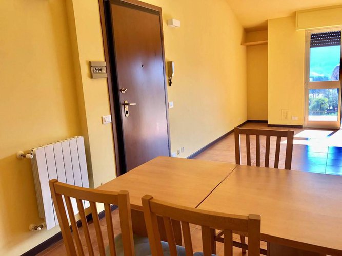 Investimento!!! Albino