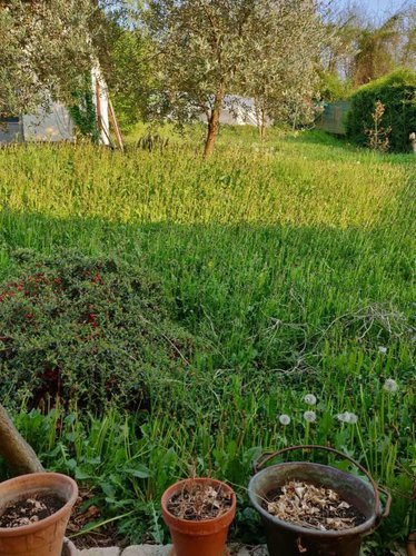 Trilocale con solarium e giardino vivibili Albino