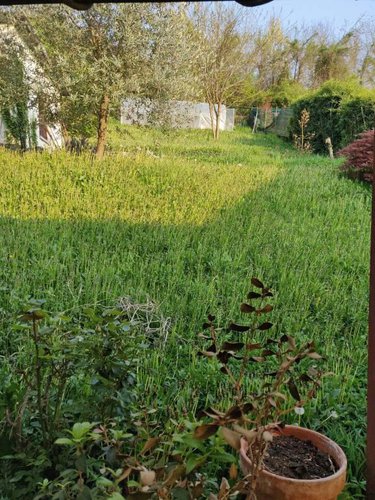 Trilocale con solarium e giardino vivibili Albino