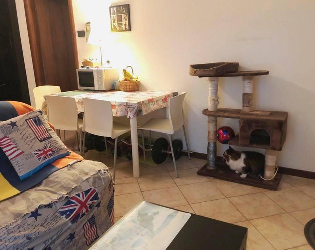 Bilocale con giardino privato e box Cene