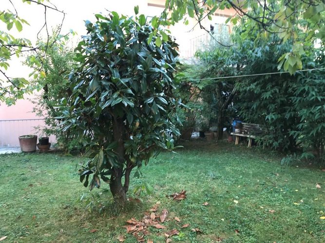 TRILOCALE CON AMPIO GIARDINO E TAVERNA Torre Boldone
