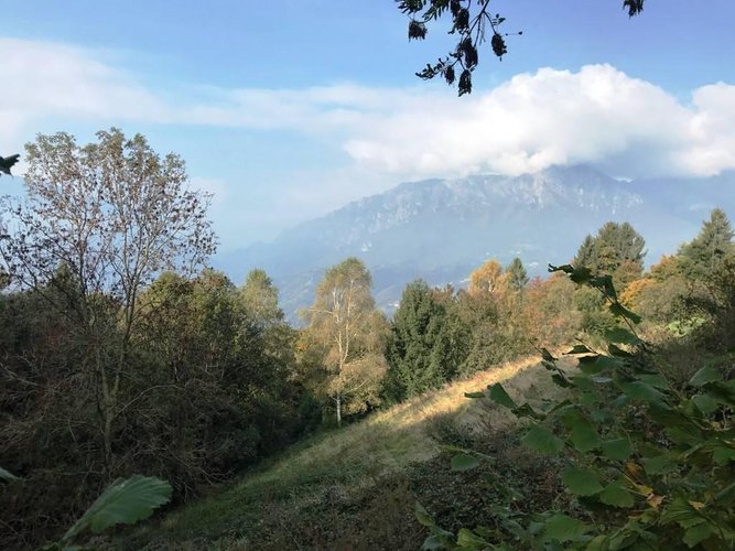 RUSTICO/BAITA/CASELLO CON 22.000 DI TERRENO San Pellegrino Terme