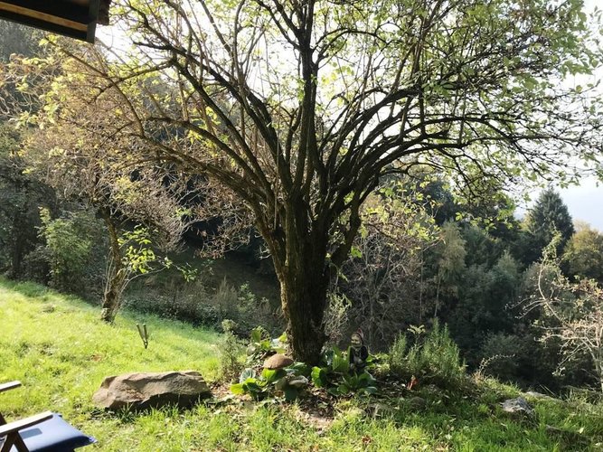RUSTICO/BAITA/CASELLO CON 22.000 DI TERRENO San Pellegrino Terme