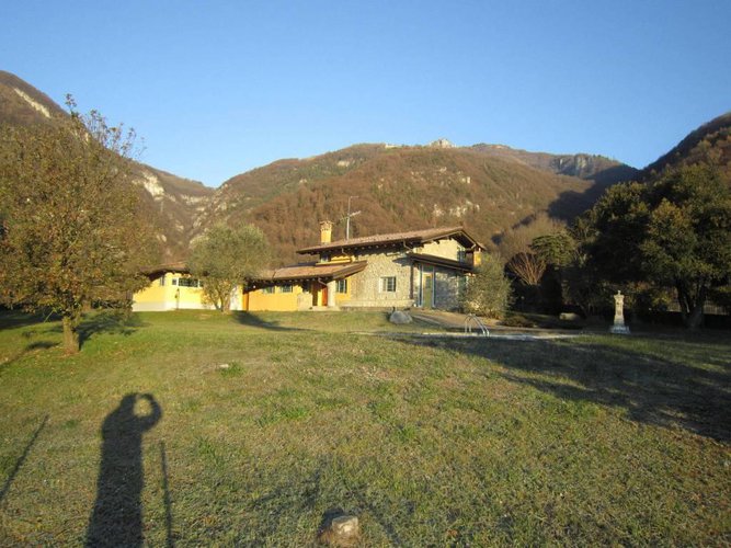 ALBINO COLLINA Albino