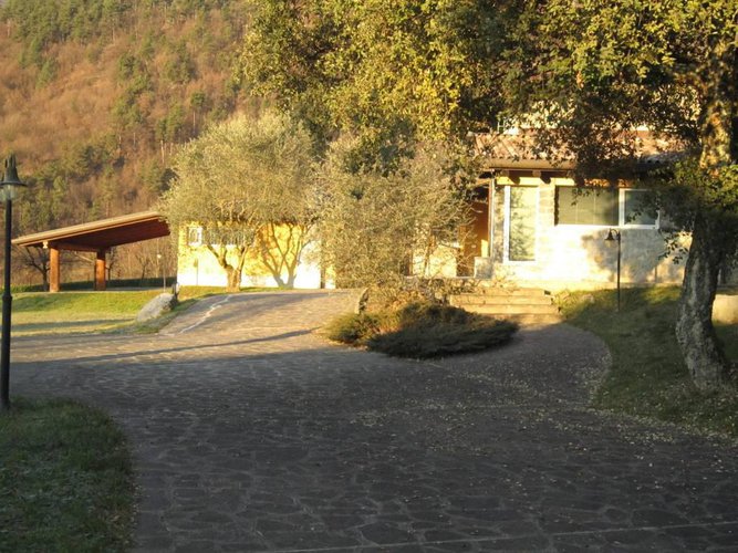 ALBINO COLLINA Albino