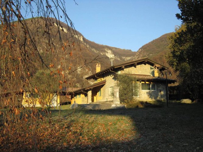 ALBINO COLLINA Albino