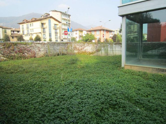 ALZANO NUOVA VILLA CON 350 MQ DI GIARDINO Alzano Lombardo