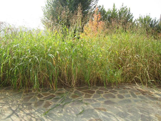 ALZANO NUOVO TRILOCALE CON 150 MQ DI GIARDINO PRIVATO Alzano Lombardo