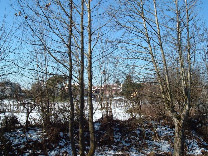 Villa a Schiera Torre de' Roveri