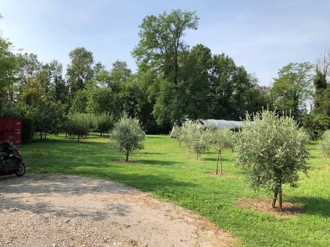 Terreno agricolo Seriate