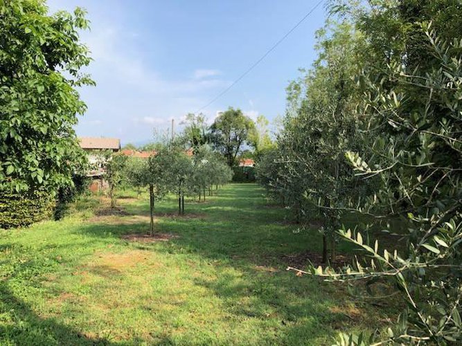 Terreno agricolo Seriate