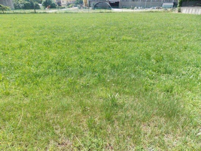 PALAZZOLO S/O... INTERA CASCINA Palazzolo sull'oglio