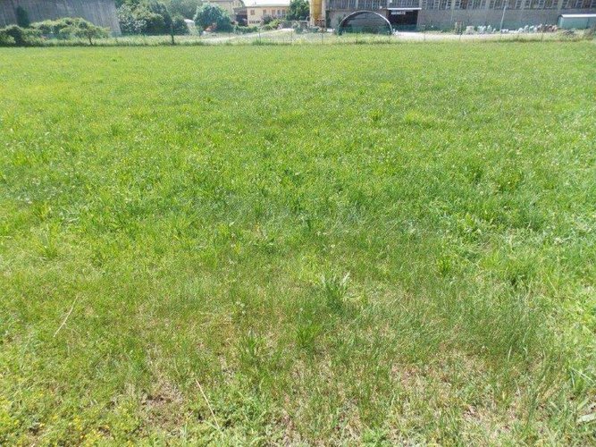 PALAZZOLO S/O... INTERA CASCINA Palazzolo sull'oglio