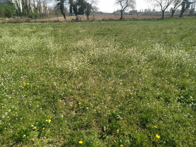 CASCINA IN PALAZZOLO SULL'OGLIO Palazzolo sull'oglio