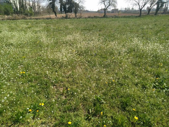 CASCINA VICINANZE PONTOGLIO Pontoglio