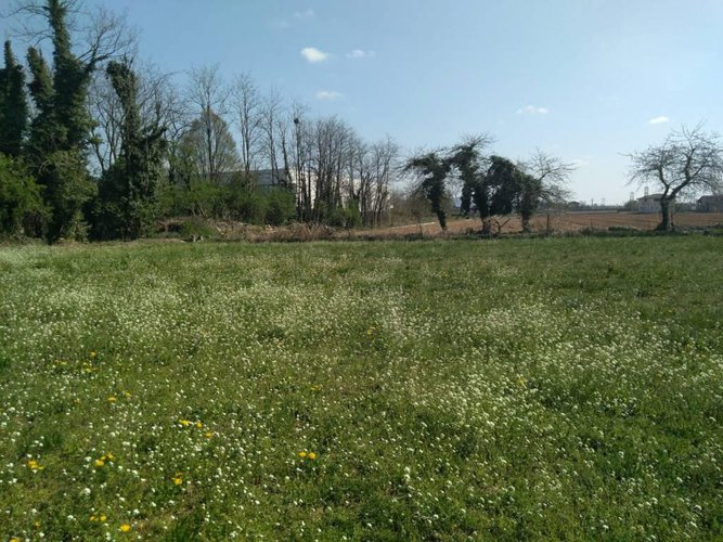 CASCINA VICINANZE PONTOGLIO Pontoglio