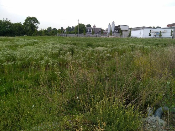 NUOVA VILLA SINGOLA IN CLASSE A Pontoglio