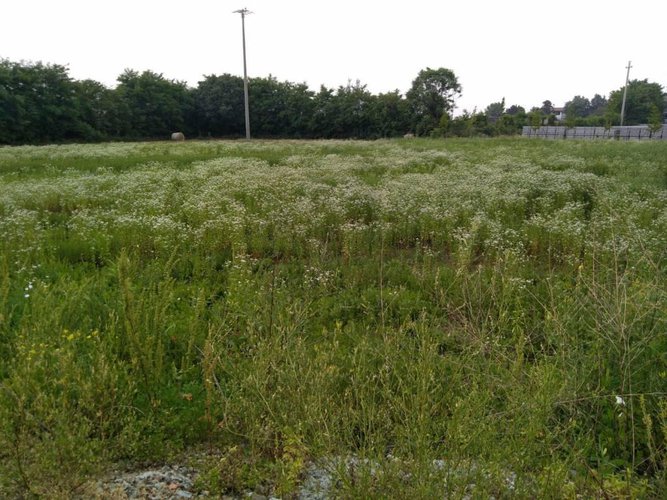 NUOVA VILLA SINGOLA IN CLASSE A Pontoglio