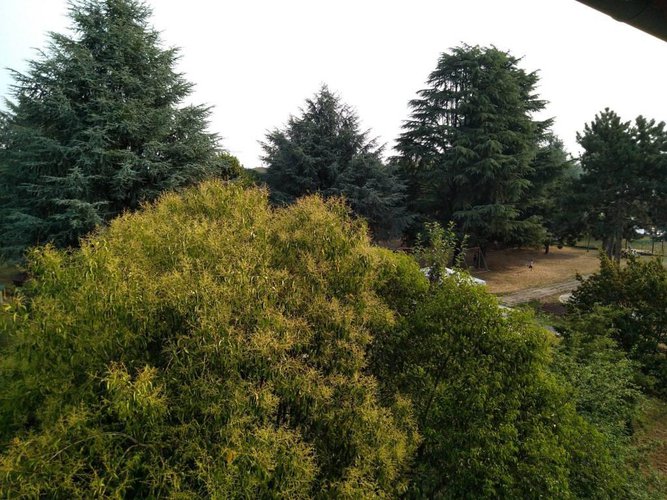 PONTOGLIO OCCASIONE IRRIPETIBILE