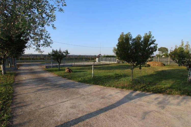 CAPANNONE AGRICOLO Mornico al Serio