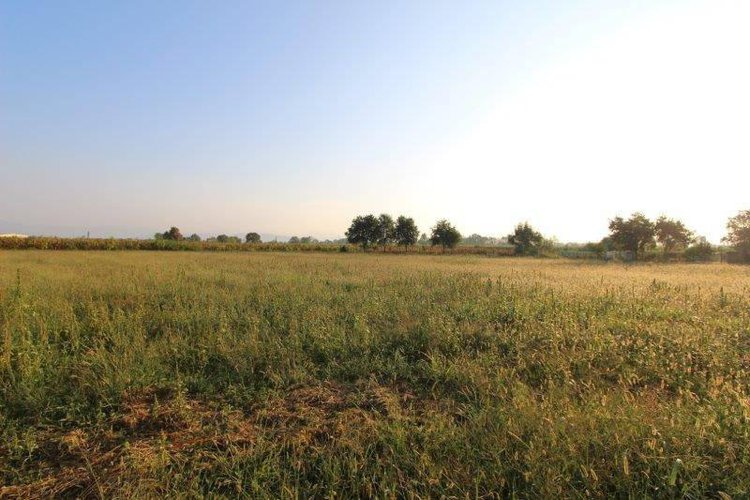 CAPANNONE AGRICOLO Mornico al Serio