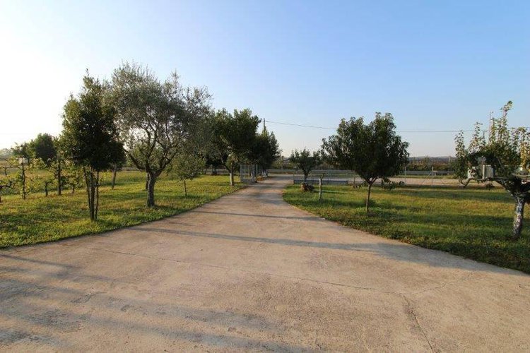 CAPANNONE AGRICOLO Mornico al Serio