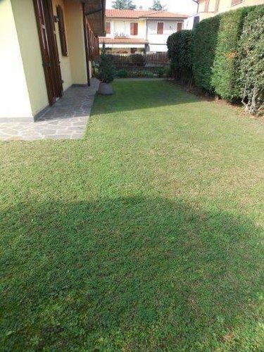 COLOGNE !!! INTROVABILE !! Cologne