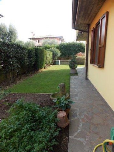 COLOGNE !!! INTROVABILE !! Cologne